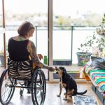 How does Specialist disability accommodation work?