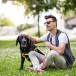 Who Qualifies for NDIS Home Loans in Australia 2026?