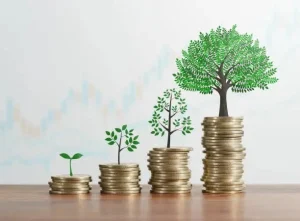 Cash Flow vs Long-Term Growth Strategy